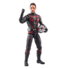 Marvel Legends Series Ant-Man