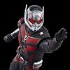Marvel Legends Series Ant-Man