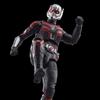 Marvel Legends Series Ant-Man