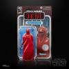 STAR WARS The Black Series Royal Guard & Pilot