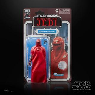 STAR WARS The Black Series Royal Guard & Pilot