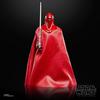 STAR WARS The Black Series Royal Guard & Pilot