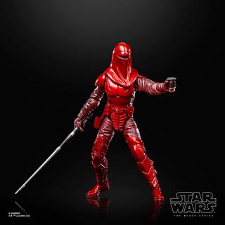STAR WARS The Black Series Royal Guard & Pilot