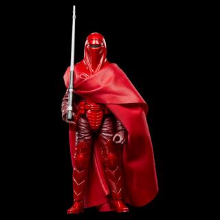 STAR WARS The Black Series Royal Guard & Pilot