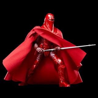 STAR WARS The Black Series Royal Guard & Pilot
