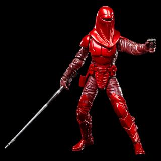 STAR WARS The Black Series Royal Guard & Pilot