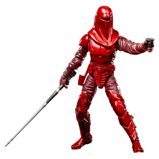 STAR WARS The Black Series Royal Guard & Pilot