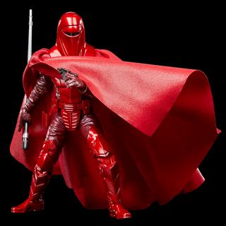 STAR WARS The Black Series Royal Guard & Pilot