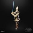 STAR WARS The Black Series Ki-Adi-Mundi Figure