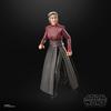STAR WARS The Black Series Morgan Elsbeth