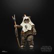 Hasbro Star Wars The Black Series, Paploo