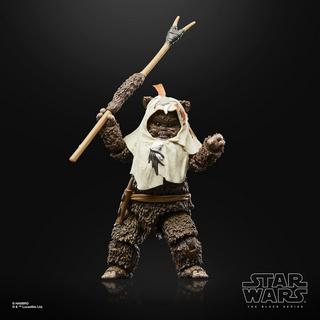 Hasbro Star Wars The Black Series, Paploo