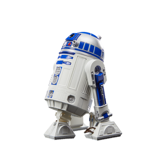 Star Wars The Black Series R-Zwo D-Zwo (R2-D2)