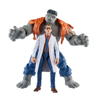 Hasbro Marvel Legends Series Hulk Grigio e Dr. Bruce Banner Hasbro Pulse