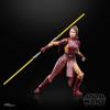 STAR WARS The Black Series Bastila Shan