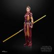 STAR WARS The Black Series Bastila Shan