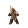 Star Wars The Black Series Wicket W. Warrick