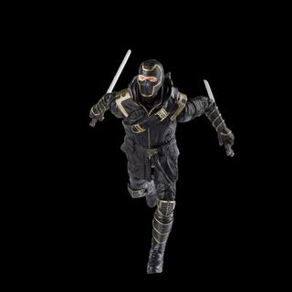 Marvel Legends Series Marvel's Ronin