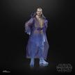Hasbro Star Wars The Black Series, Qui-Gon Jinn (Spirito della Forza)