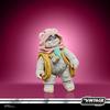 Star Wars The Vintage Collection Wicket et Kneesaa
