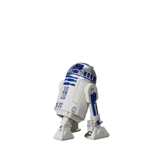 Star Wars The Black Series R2-D2 (Artoo-Detoo)