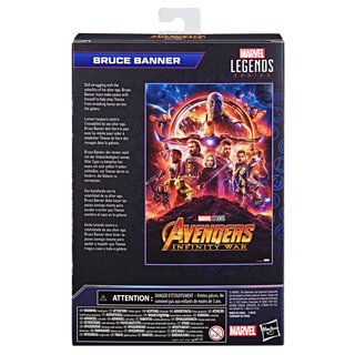 Hasbro Marvel Legends Series Bruce Banner