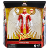 Marvel Legends Series Marvel's Angel