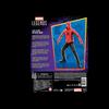 Marvel Legends Series Last Stand Spider-Man