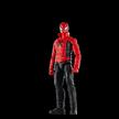 Hasbro Marvel Legends Series, Last Stand Spider-Man