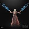 STAR WARS The Black Series Star Wars: The Last Command 4-Pack