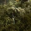 G.I. Joe Classified Series 60th Anniversary Action Marine - Sniper