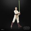 STAR WARS The Black Series Jedi Master Indara