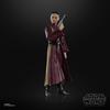 STAR WARS The Black Series Padmé Amidala