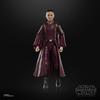 STAR WARS The Black Series Padmé Amidala