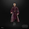 STAR WARS The Black Series Padmé Amidala