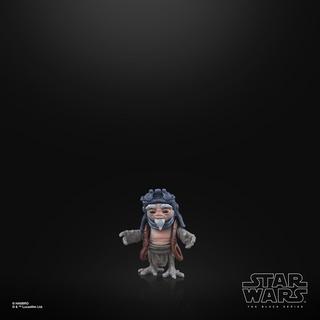 Hasbro Star Wars The Black Series, IG-12 e Grogu deluxe