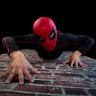 Marvel Legends Series Spider-Man Electronic Expressive Mask
