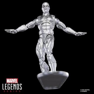 Marvel Legends Series Silver Surfer