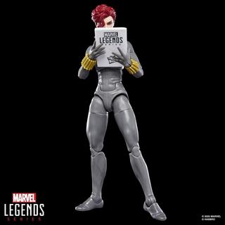 Marvel Legends Series Black Widow