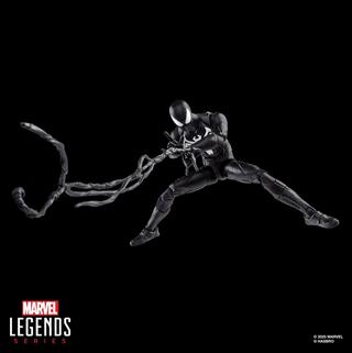 Marvel Legends Series Gamerverse Peter Parker Black Suit