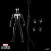 Marvel Legends Series Gamerverse Peter Parker Black Suit