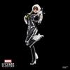 Marvel Legends Series Gamerverse Black Cat Felicia Hardy Action Figure