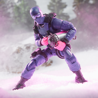 G.I. Joe Classified Series #161, Snake Eyes & Polar Bear