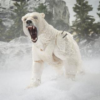 G.I. Joe Classified Series #161, Snake Eyes & Polar Bear