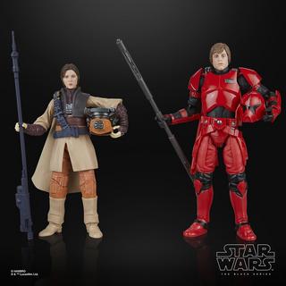 STAR WARS The Black Series Luke Skywalker (Imperial Guard) & Princess Leia Organa (Boushh)
