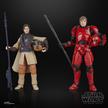 Star Wars The Black Series Luke Skywalker (Imperiale Wache) & Prinzessin Leia Organa (Boushh)