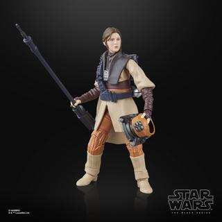 STAR WARS The Black Series Luke Skywalker (Imperial Guard) & Princess Leia Organa (Boushh)