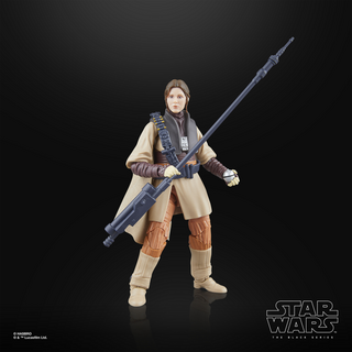 Star Wars The Black Series Luke Skywalker (Imperiale Wache) & Prinzessin Leia Organa (Boushh)