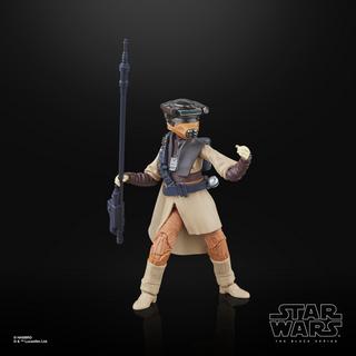 STAR WARS The Black Series Luke Skywalker (Imperial Guard) & Princess Leia Organa (Boushh)