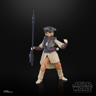 Star Wars The Black Series Luke Skywalker (Imperiale Wache) & Prinzessin Leia Organa (Boushh)